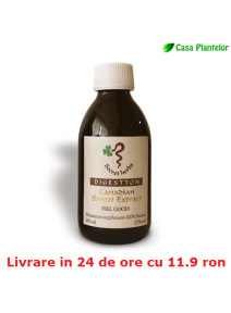 Digestton 200ml