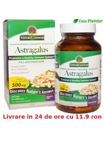 Astragalus - Tratament american pt 90 de zile