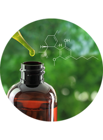 Ulei de CBD (Cannabidiol) - 100 ml