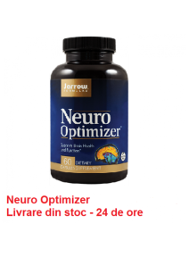 Neuro Optimizer