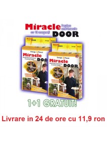 Miracle Door - 2 perdele anti-insecte