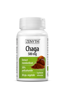 Chaga - 500 mg