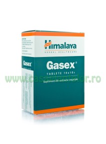 Gasex