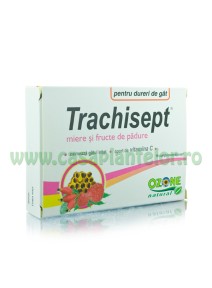 Trachisept Miere si Fructe de Padure