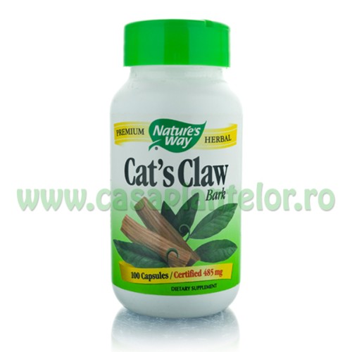 Cat's Claw