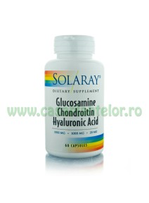 Glucosamine Chondroitin