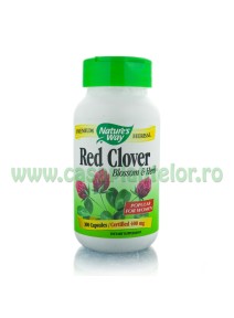 Red Clover