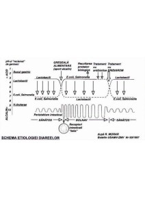 Eridiarom - 50cp - Tratament antidiareic - Afine - Reface flora intestinala