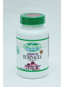 ECHINACEA Fortificata (Enhanced) 500 mg/90 caps 